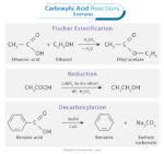 Carboxylic Acid: Definition, Examples, Synthesis, and Reactions