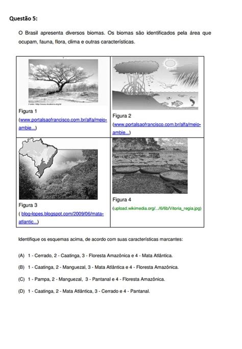 Atividades Sobre O Ecossistema Para Imprimir Mundinho Da Crian A