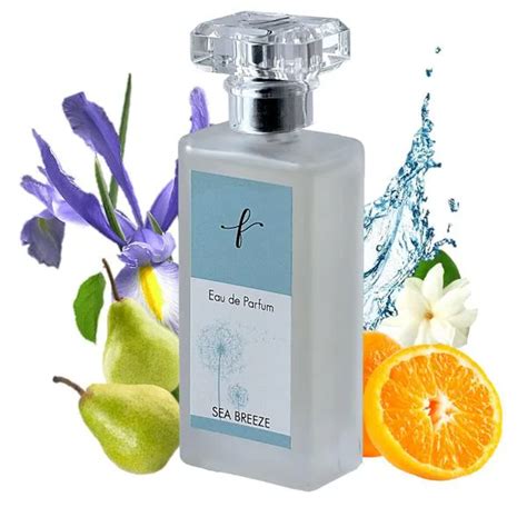 A Fragrance Story Perfume Sea Breeze 50 Ml Jiomart