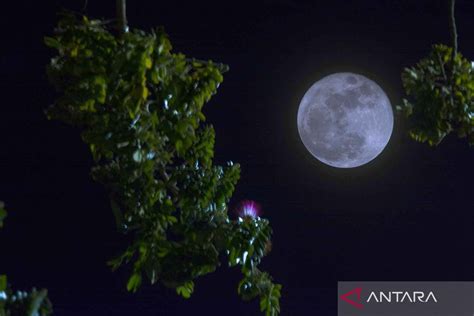 Indahnya Fenomena Super Blue Moon ANTARA News