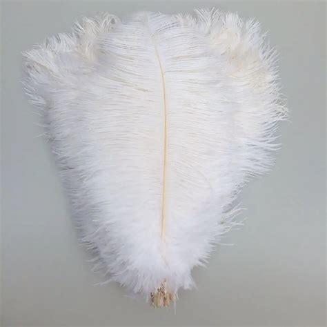 Plumas de avestruz blancas naturales para decoración 15 75CM