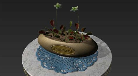 Dionaea muscipula - ZBrushCentral