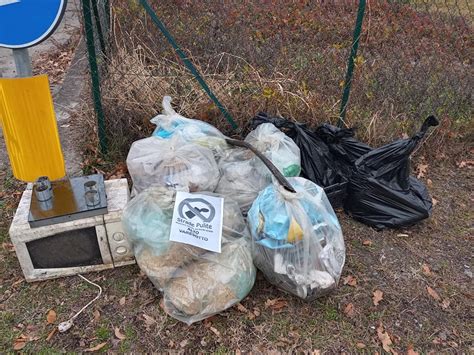 Rifiuti Abbandonati A Bordo Strada Valganna E Valcuvia In Condizioni