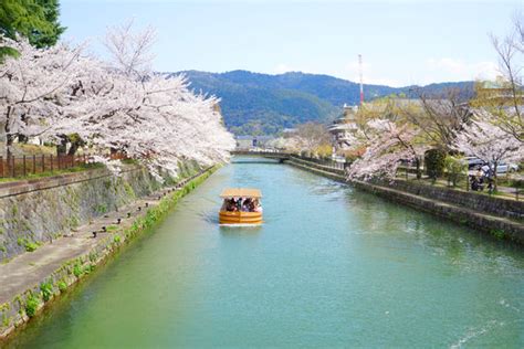 "Kyoto Prefecture" Images – Browse 1,830 Stock Photos, Vectors, and Video | Adobe Stock