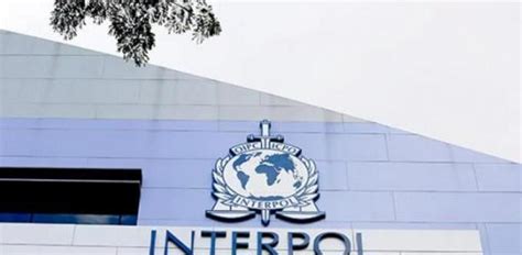 Arrestados Traficantes De Personas En Latinoam Rica Informa Interpol