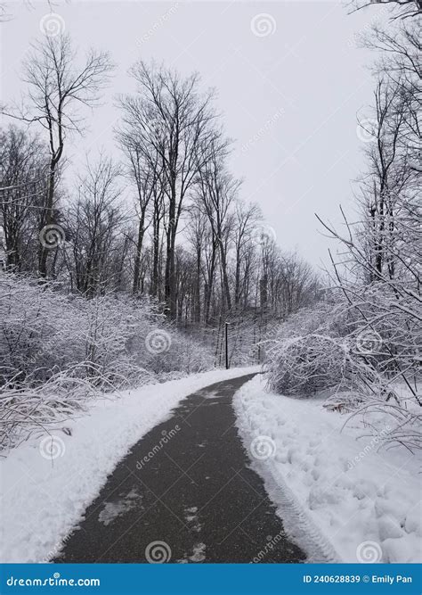 Snowy Winter Pathway Stock Image Image Of Winter Snow 240628839