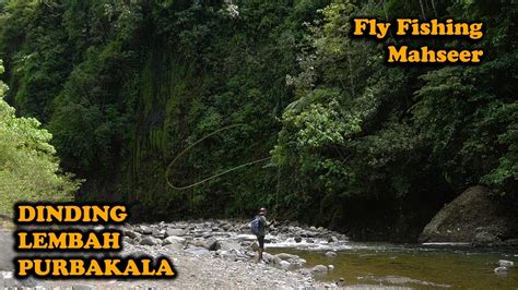 Banyak Banget Mancing Ikan Semah Atau Mahseer Di Sungai Kecil Di