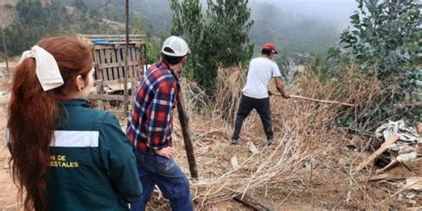 Conaf Refuerza Operativos Cara A Cara Para Prevenir Incendios