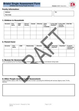 Fillable Online Bristol Single Assessment Form Planning For The Needs