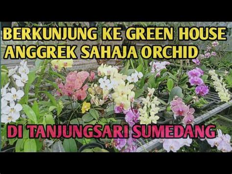 Berkunjung Ke Kebun Anggrek Di Tanjungsari Sumedang Youtube