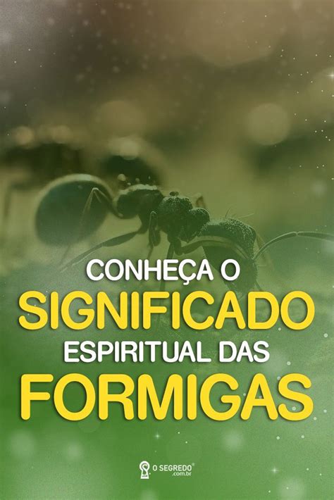 Formigas conheça seu significado espiritual e mais 5 mensagens por