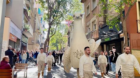 CERCAVILA de Festa Major de Sant Andreu de Palomar 2023 Episodi nº 2