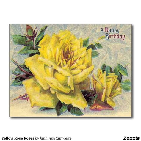 Yellow Rose Roses Postcard Yellow Ts Yellow Roses Birthday Cards