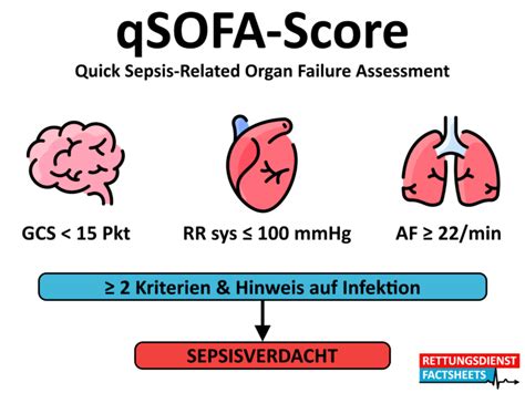 Sepsis in der Präklinik Rettungsdienst FactSheets