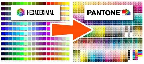 Top Hex To Pantone Color Conversion Tools