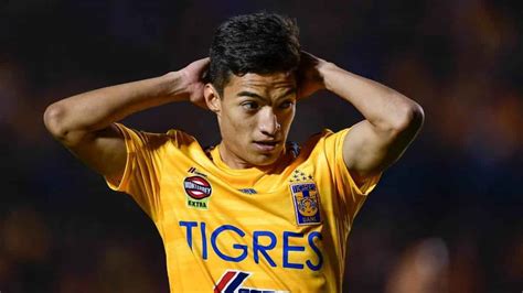 LIGA MX AFICIÓN DE TIGRES PIDE LA SALIDA DE FULGENCIO TRAS SU