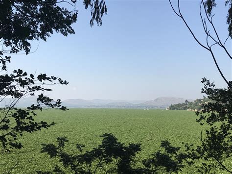 So went to Hartbeespoort dam today and the dam looked like this... : r/southafrica