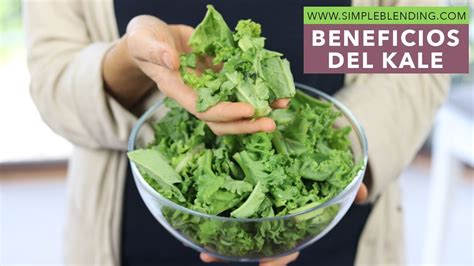 Beneficios Y Propiedades Del Kale Beneficios Col Rizada Youtube