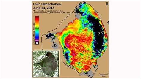 New Image Shows Lake Okeechobee Toxic Algae Bloom Has Spread ...