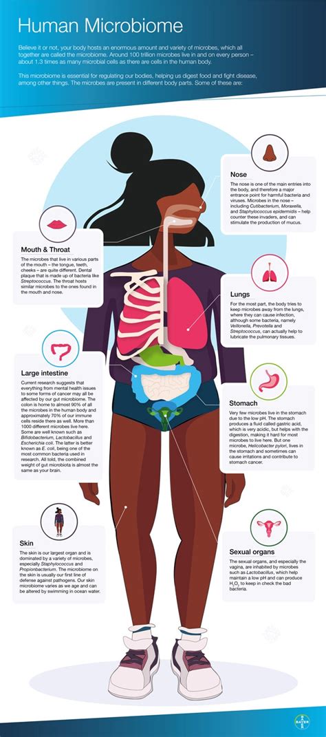 Human Microbiome Why It Is Important For Our Health Bayer Global