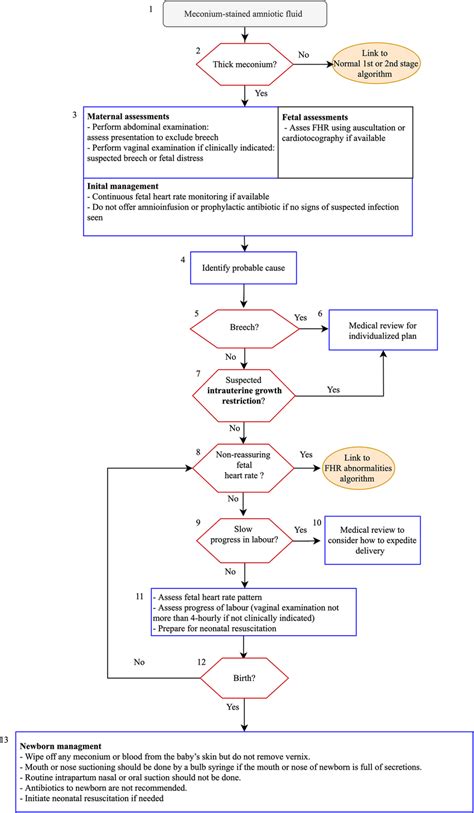 Algorithm for meconium‐stained amniotic fluid. | Download Scientific ...