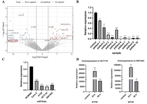 Ncm Normal Colonic Epithelial Cell Line Atcc Bioz