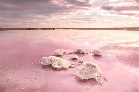 Admire The Pink Hues Of Laguna Salada De Torrevieja In Spain 80