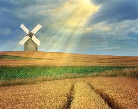 Windmill On Sunny Day Landscape Paint By Numbers Numeral Paint Kit