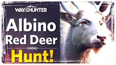 Albino Red Deer Hunt Way Of The Hunter Youtube