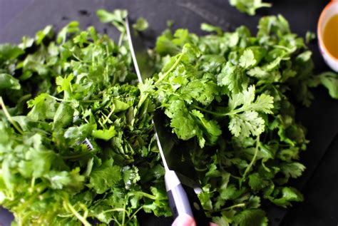 Easy Homemade Cilantro Pesto Simply Scratch