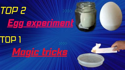 Egg Science Experiment😱 Sanitizar And Water Experiment 🔥🔥💯 Work Youtube