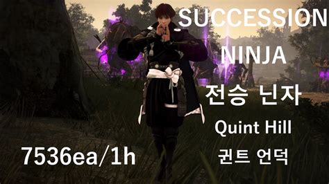 Black Desert Succession Ninja Elvia Quint Hill Level