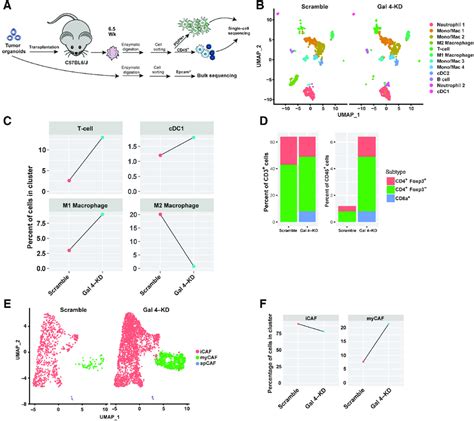 Single Cell Rna Seq Of Scramble Control And Gal 4 Kd Orthotopic Download Scientific Diagram