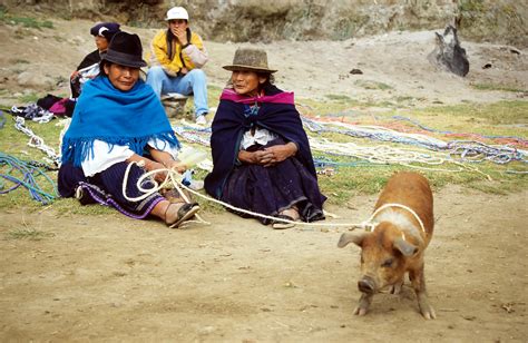 Otavalo - Animal Market | Ecuador | Pictures | Ecuador in Global-Geography