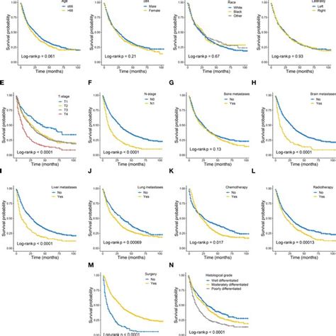 Roc Curves Of The Nomogram For Css Compared With Tnm Staging Roc