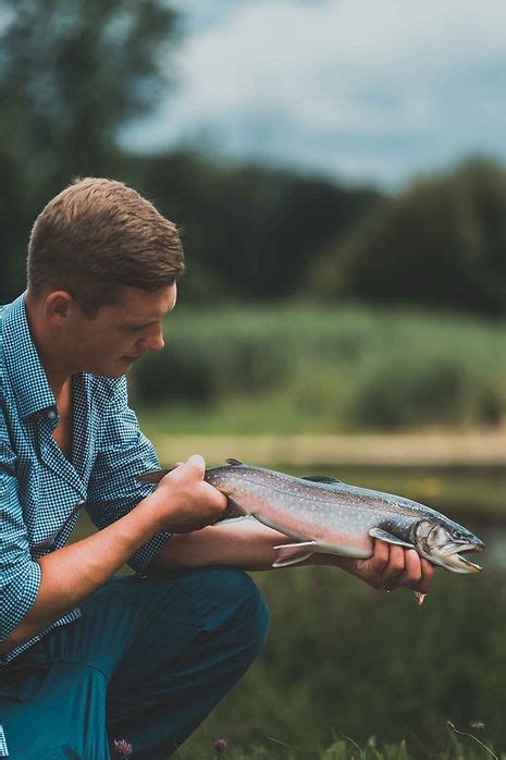 Unsere Fischarten Fischzucht Alpenland Welche Fische Haben Wir