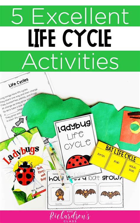 5 Ideas for Excellent Life Cycle Activities - Mrs. Richardson's Class