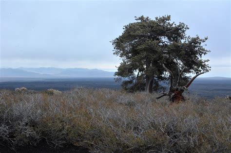 Craters Of The Moon National Monument And Preserve | Roadtreking