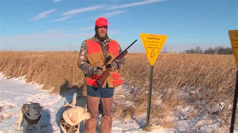 #1541: Great pheasant hunting in Harvey, North Dakota - MidWest Outdoors