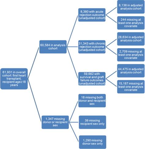 Influence Of Donor And Recipient Sex Mismatch On Heart Transplant