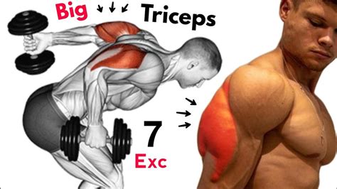 How To Build Huge Arms Workout Triceps Exercises Youtube