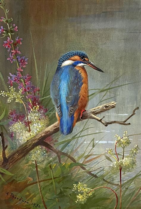 Archibald Thorburn Paintings For Sale Kingfisher Carnes Fine Art