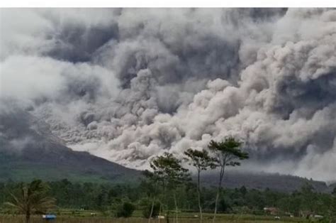 Rumini Meninggal Sambil Peluk Sang Ibu Saat Erupsi Semeru Mengharukan