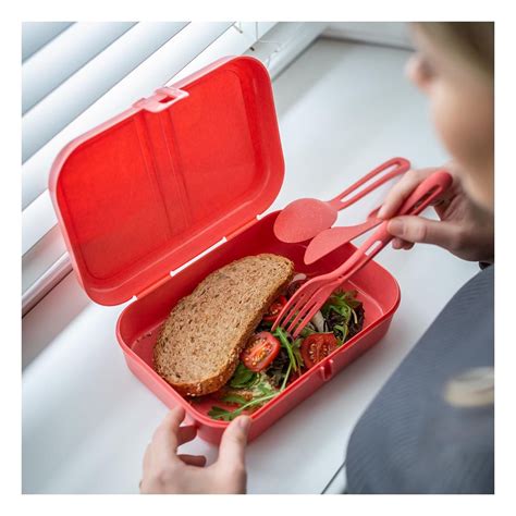 Koziol Pascal L Lunchbox Mit Trennsteg Nature Coral Bei Camping Wagner