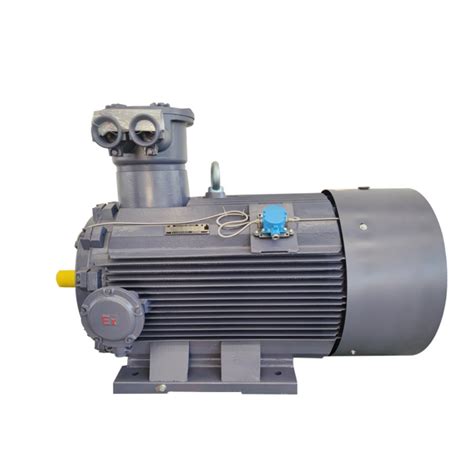 Ybx3 Series High Efficiency Explosion Proof Three Phase Induction Electric Motor Electric