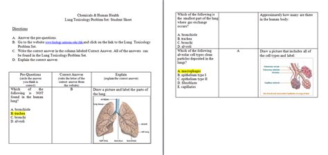 Lung Toxicology Apes By Reymond P