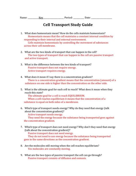 Practice Types Of Cellular Transport