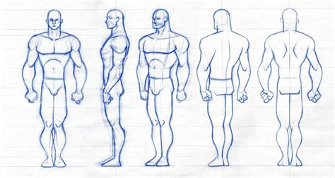 Male Figure Rotation By Robthesentinel Character Reference Sheet