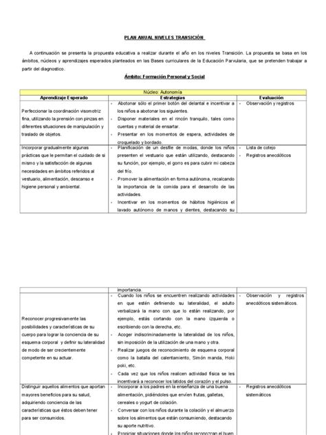 Plan Anual Niveles Transicion Jardín De Infancia Aprendizaje