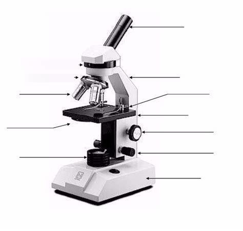 Microscope Labeling Quiz Diagram | Quizlet